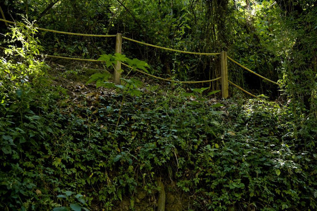 Hotel Rancho San Cayetano Zitacuaro ภายนอก รูปภาพ